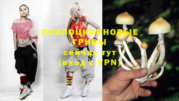 дурь Лихославль